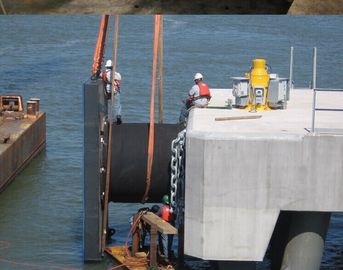 Cuscino ammortizzatore di gomma marino degli elementi di gomma francesi delle navi da guerra per il bacino, iso 17357 di CCS fornitore