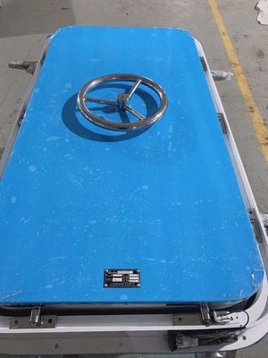 Porta impermeabile marina con opzioni per profili a raggio quadrato o semicircolare fornitore