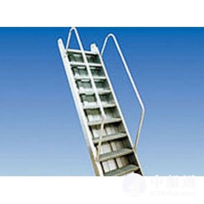 Scaletta d'imbarco in alluminio con portata massima di 50 kg. Carico e Dimensioni Personalizzate per Piscine fornitore
